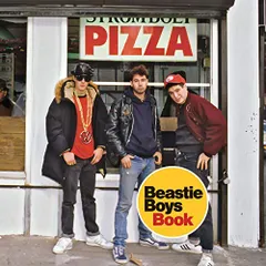 BEASTIE BOYS book